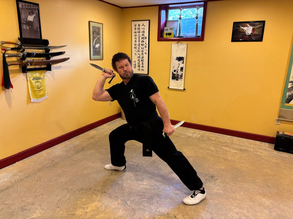 White Crane Kung Fu Poughkeepsie Your First Kung Fu Lesson Is Free!